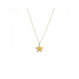 Υποαλλεργικό Κολιέ με Χρυσό Αστέρι (BE1GSTAR) Farma Bijoux