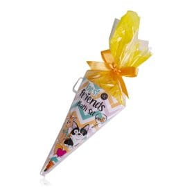Κώνος με 60ml bubble bath, 60g bath fizzer &amp; σφουγγάρι, Best Friends – Accentra