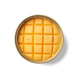 Tester Φυτικό Γκουρμέ Κερί σε κονσέρβα, Mango 300gr – CandleHand