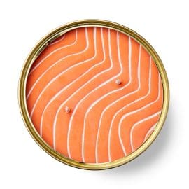 Tester Φυτικό Γκουρμέ Κερί σε κονσέρβα, Orange Salmon