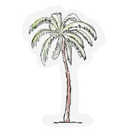 Palm tree – Cut- out Ευχετήρια κάρτα – The Gift Label