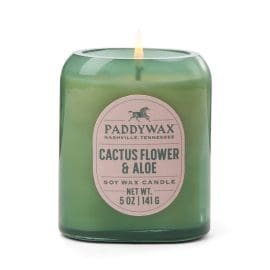 Vista Φυτικό Κερί, Cactus Flower &amp; Aloe 142gr – Paddywax
