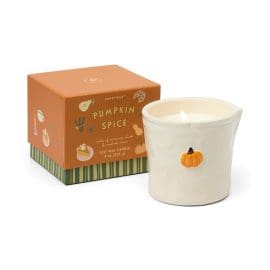 Pumpkin Spice Φυτικό Κερί 226gr σε κεραμικό δοχείο, Bistro Pumpkin – Paddywax