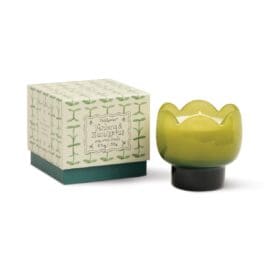 Tulip κερί σόγιας σε γυάλινο δοχείο, Verbena &amp; Lemongrass 155gr – Paddywax